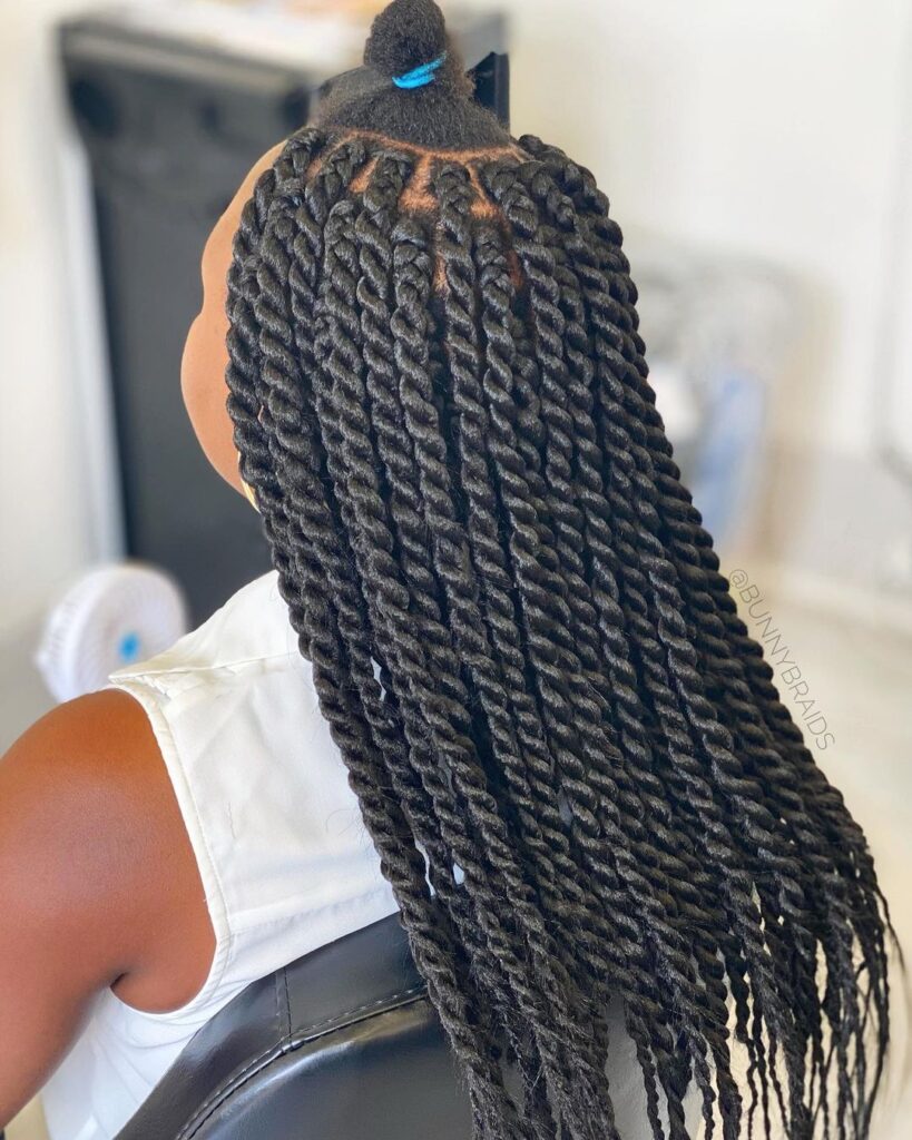 Micro Braids With a Rope Braids