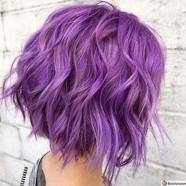 short cut purple